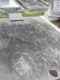 image of grave number 311064